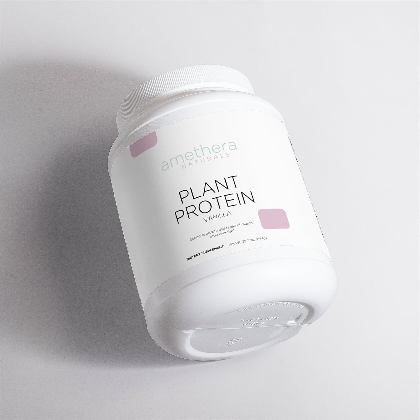 Plant Protein (Vanilla)